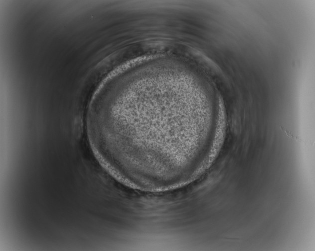 X0000089710821200707201759