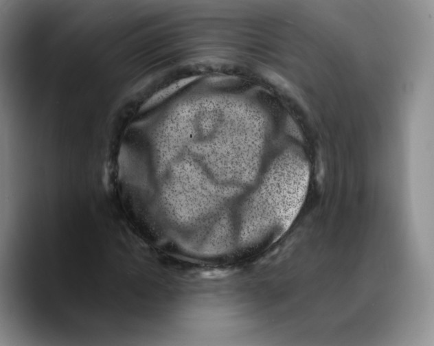 X0000089710822200707201759