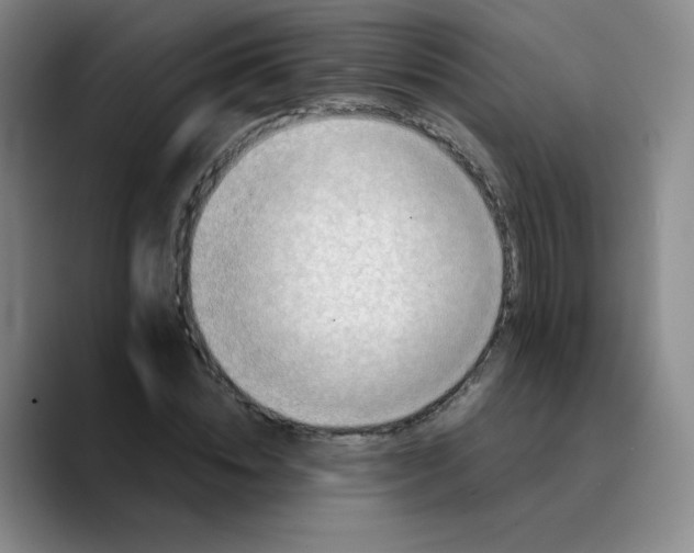 X0000089710828200707201759
