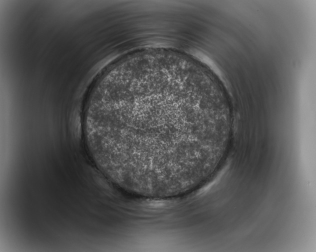 X0000089710829200707201759