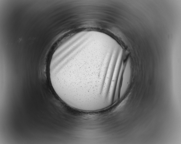X0000089710830200707201759