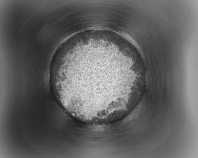 X0000089710831200707201759