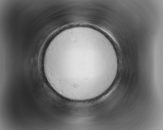X0000089710832200707201759