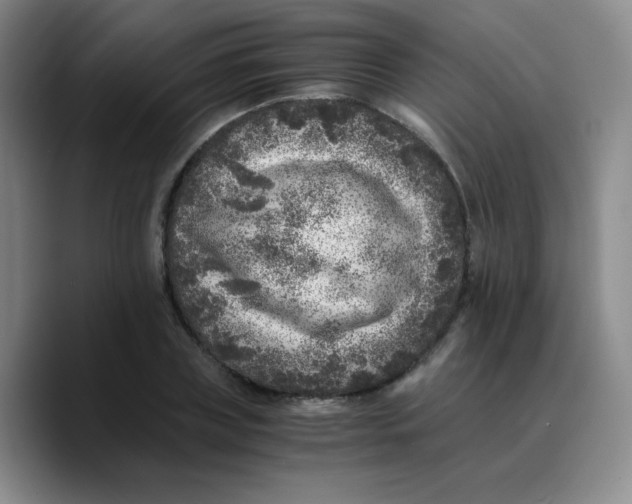 X0000089710835200707201759