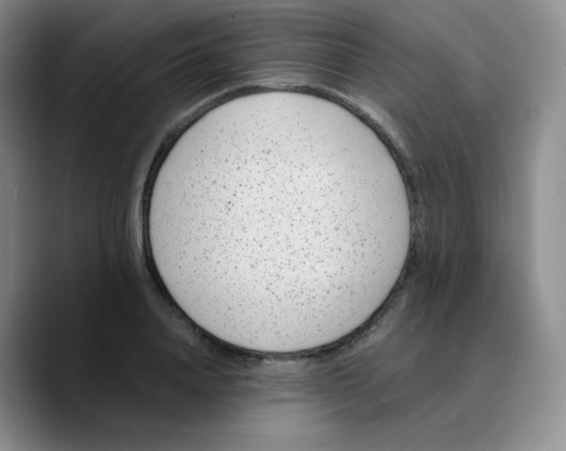 X0000089710840200707201759