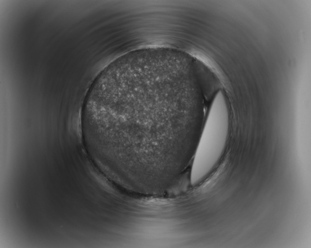 X0000089710842200707201759