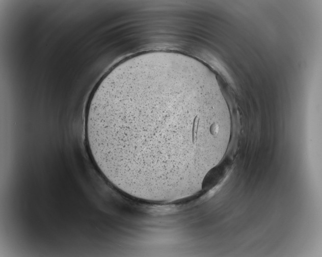 X0000089710844200707201759