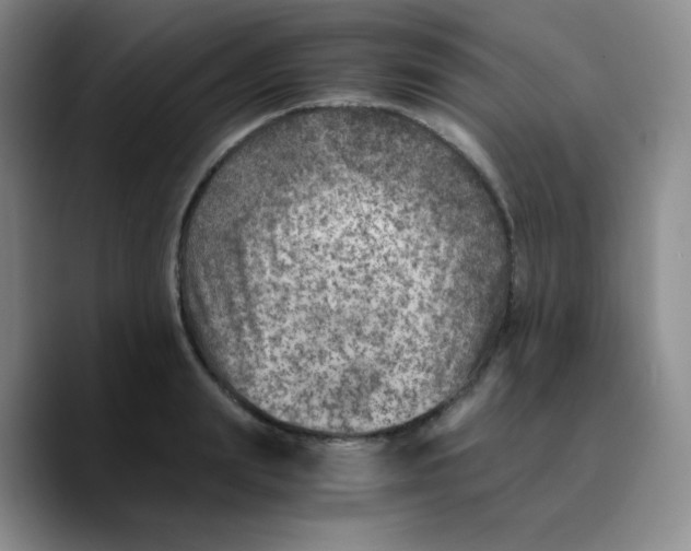 X0000089710847200707201759