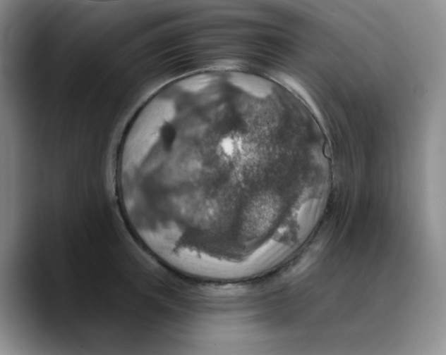X0000089710851200707201759