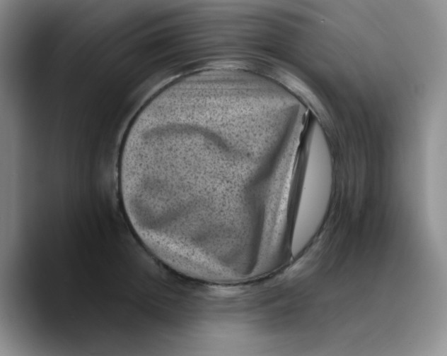 X0000089710852200707201759