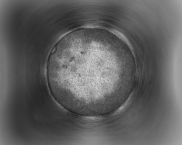 X0000089710855200707201759