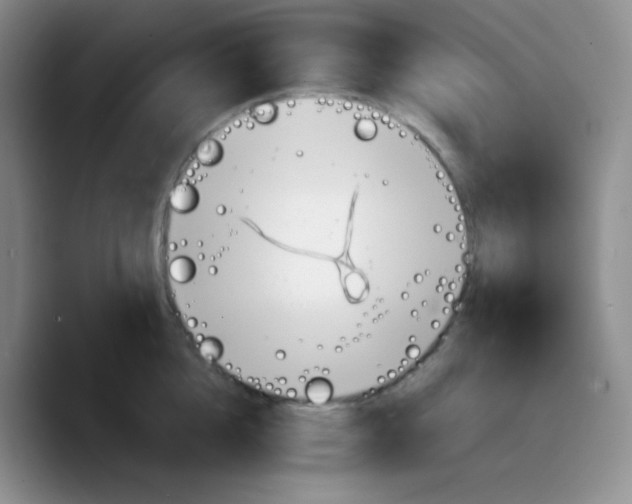 X0000089710856200707201759
