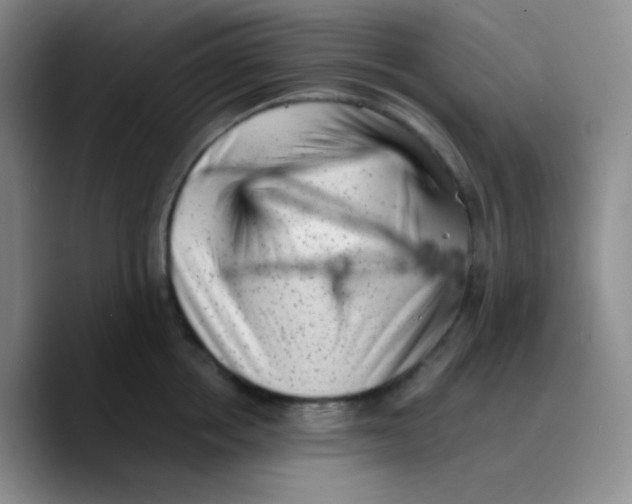 X0000089710858200707201759