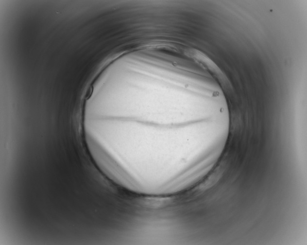 X0000089710860200707201759