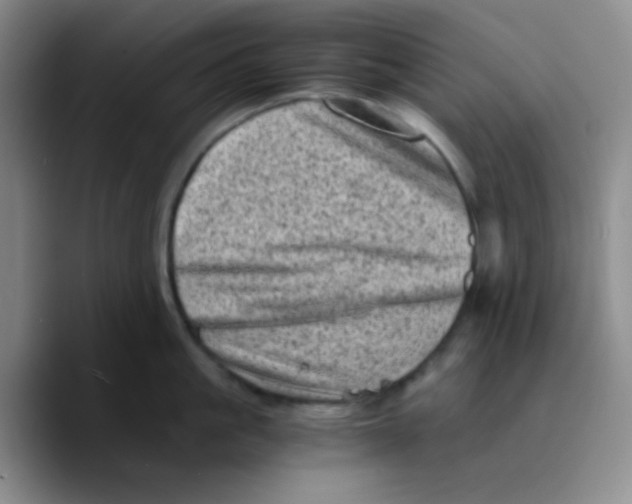 X0000089710861200707201759