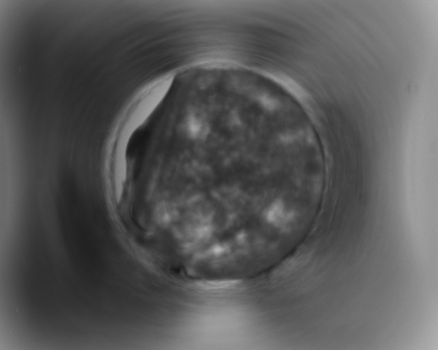 X0000089710864200707201759