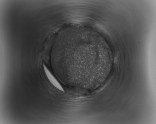 X0000089710868200707201758
