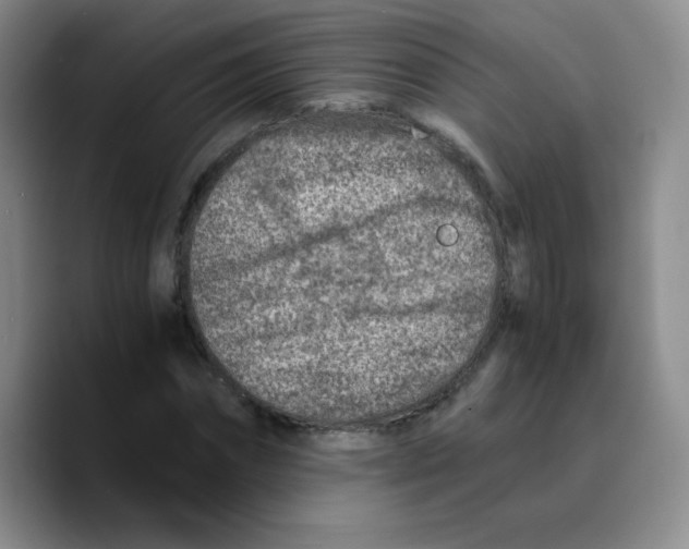 X0000089710874200707201758