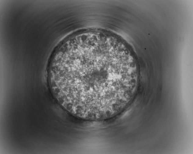 X0000089710879200707201758