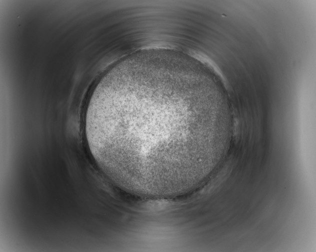X0000089710882200707201758