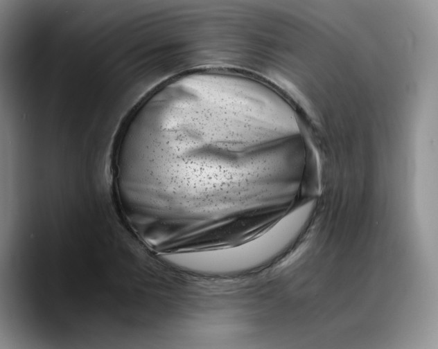 X0000089710885200707201758