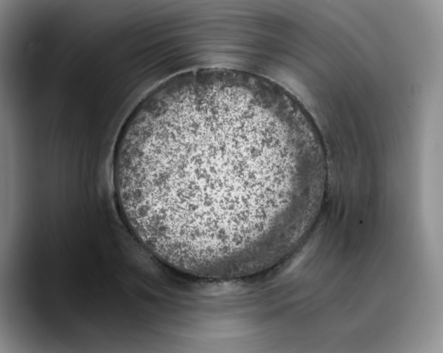 X0000089710891200707201758