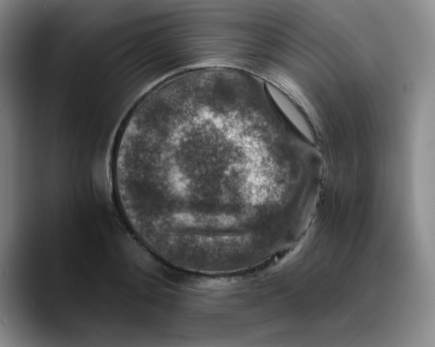 X0000089710892200707201758