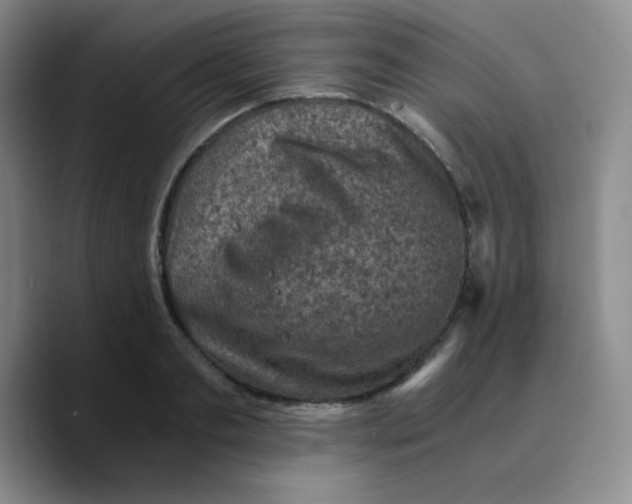 X0000089710893200707201758