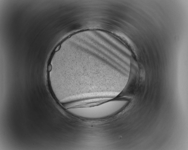 X0000089710894200707201758