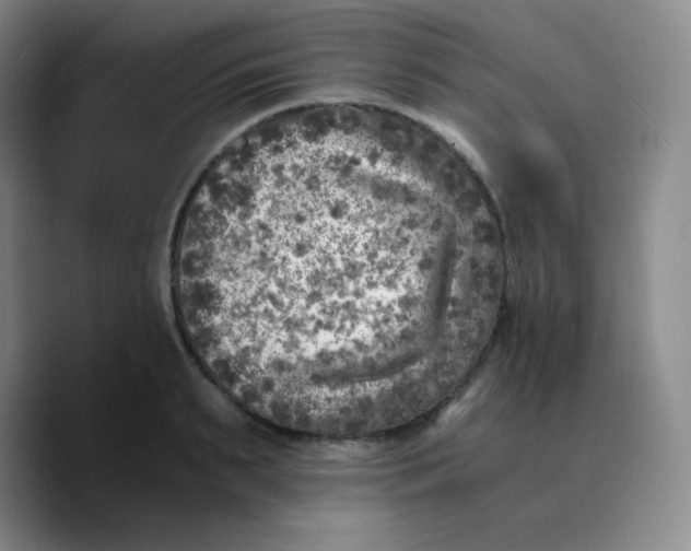 X0000089710895200707201758