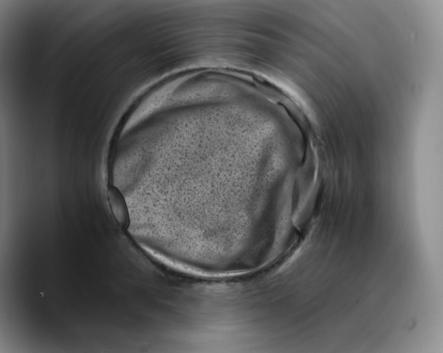 X0000089710896200707201758
