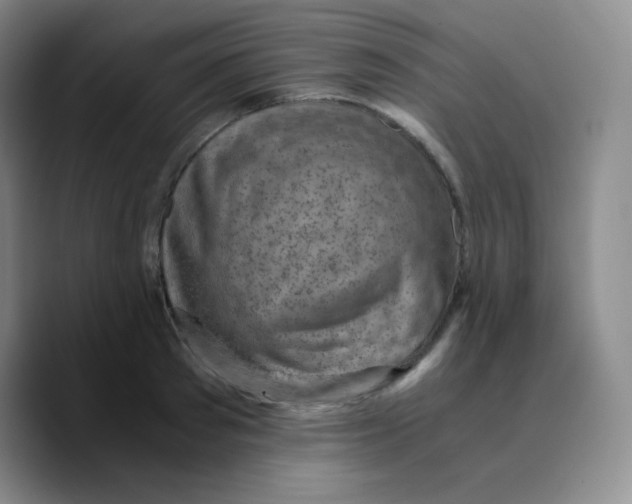 X0000089710897200707201758