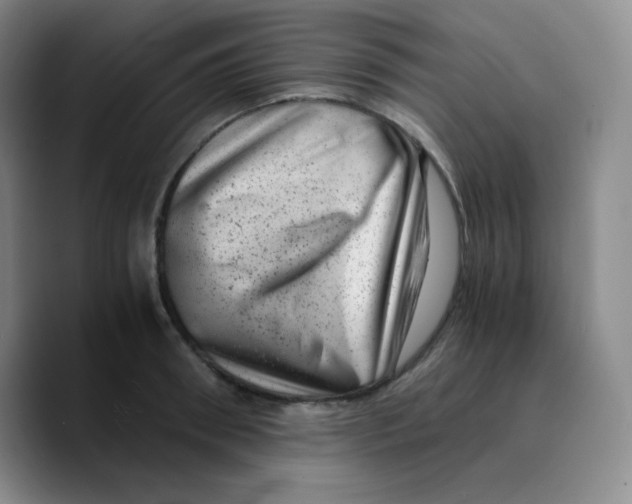 X0000089710898200707201758