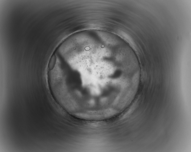 X0000089710899200707201758