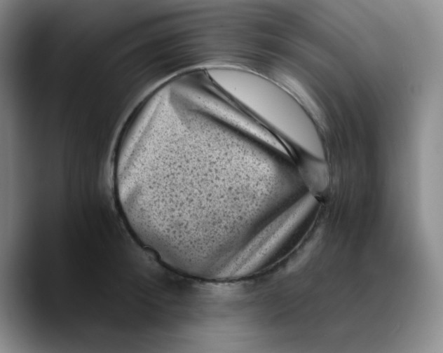 X0000089710900200707201758