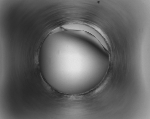 X0000089710905200707201758