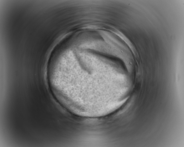X0000089710909200707201758