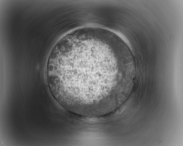 X0000089710911200707201758
