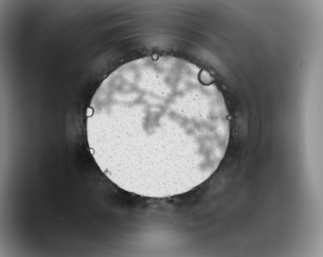 X0000089710918200707201757
