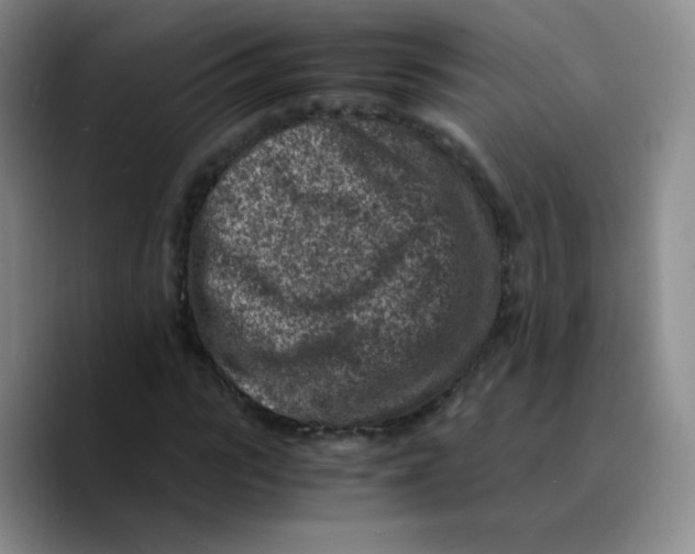 X0000089710919200707201757
