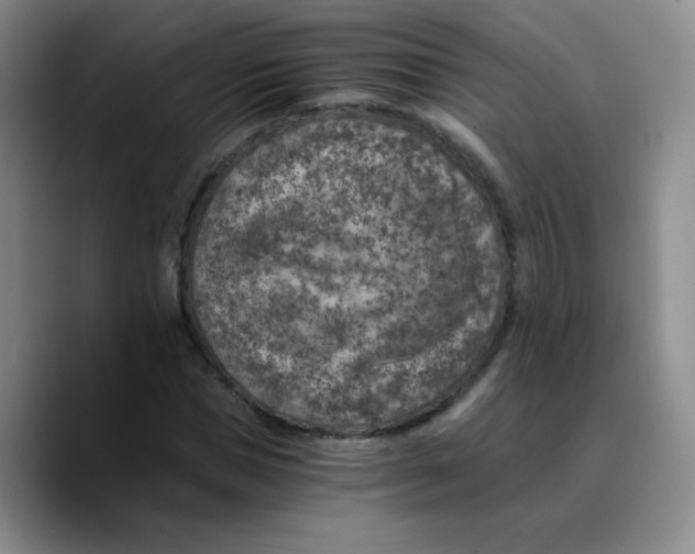 X0000089710921200707201757