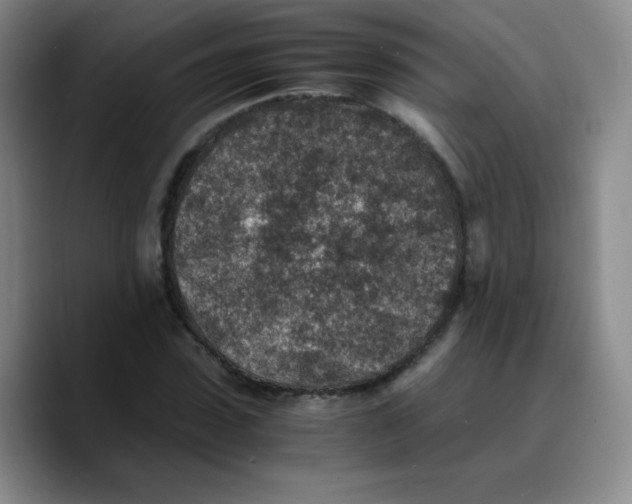 X0000089710923200707201757
