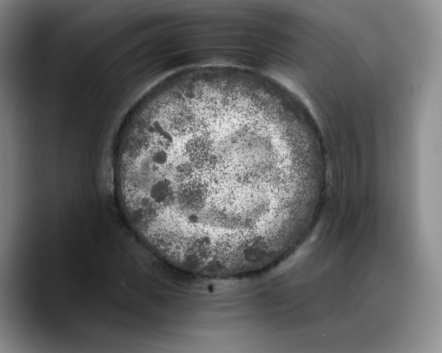 X0000089710925200707201757