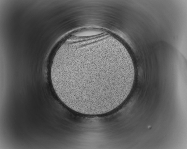 X0000089710926200707201757