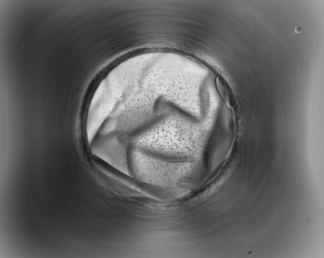 X0000089710928200707201757