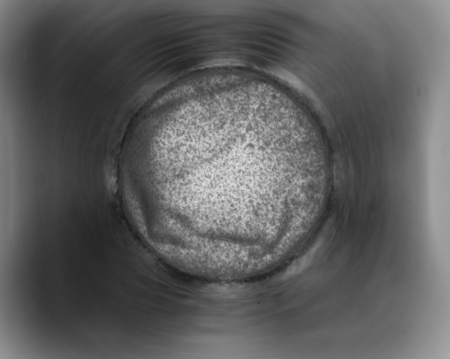X0000089710929200707201757