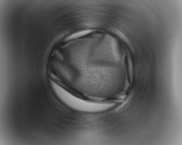 X0000089710930200707201757