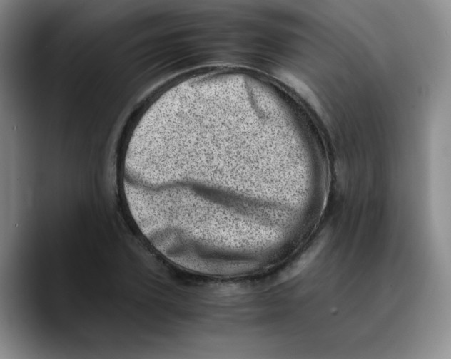 X0000089710931200707201757