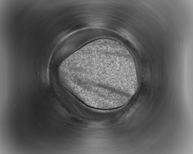 X0000089710932200707201757