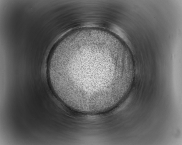 X0000089710933200707201757